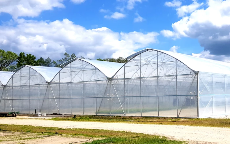 wyposażony tunel foliowy