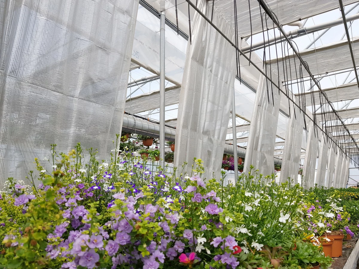 Skuteczna uprawa w tunelach foliowych: kurtyny cieniujące i termoizolacyjne