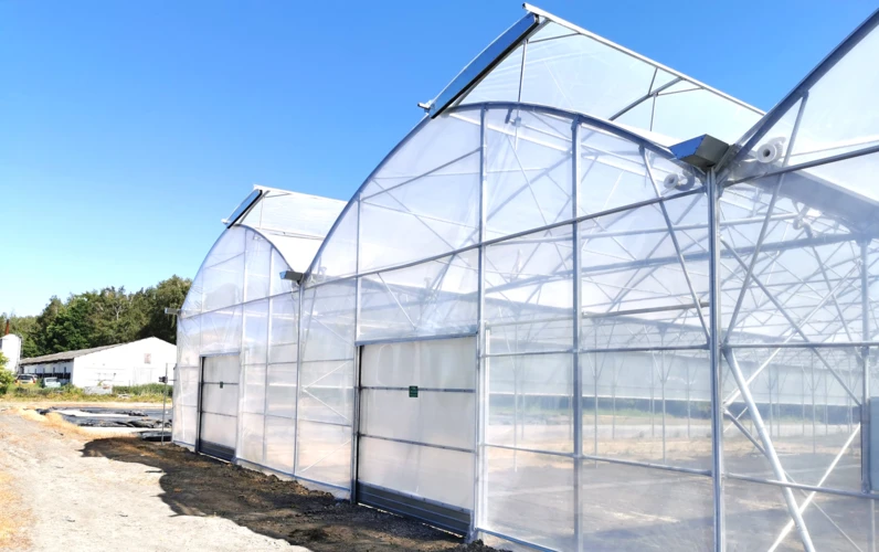 Tunel foliowy – jak wybrać, zbudować i zabezpieczyć uprawy przez cały rok?