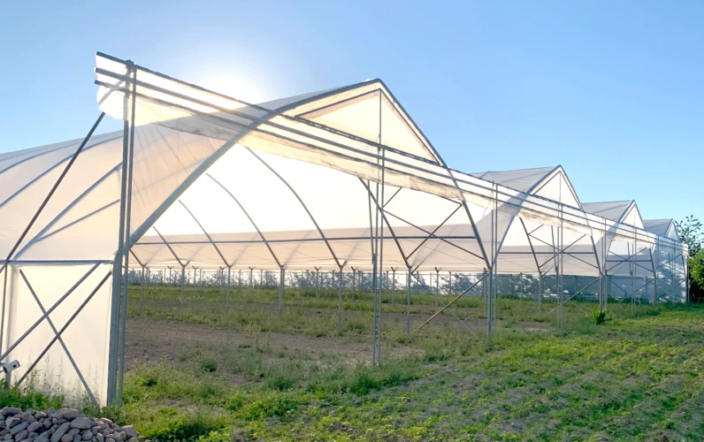 Projekt i budowa szklarni z folii – na co zwrócić uwagę?