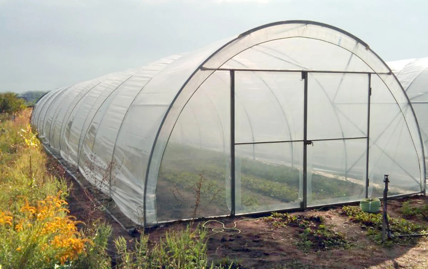 Od projektu do realizacji, czyli budowa tunelu foliowego krok po krok