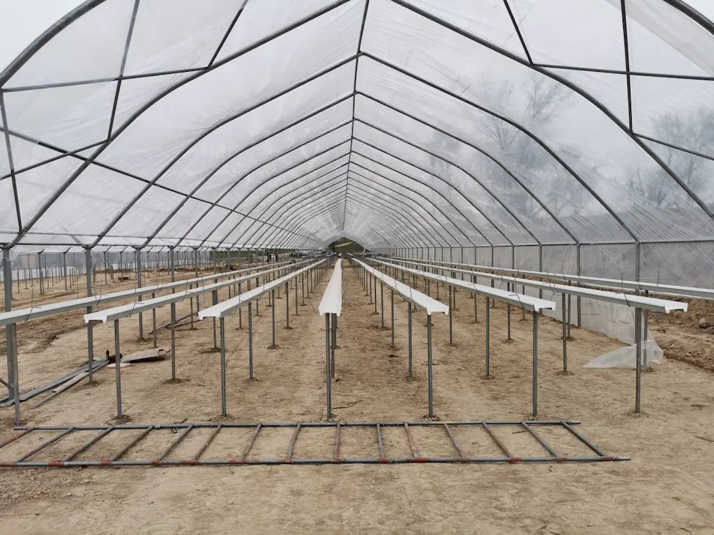 Rynny uprawowe – jak poprawić mikroklimat w szklarni dzięki dobremu systemowi odprowadzania wody?