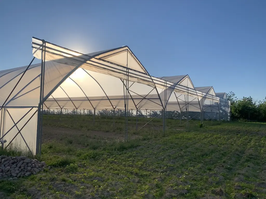 Jak wybrać rury do tuneli foliowych? Wskazówki